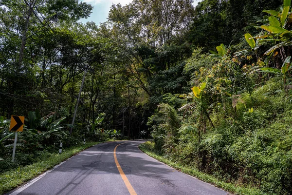Landstraße Durch Das Ruhige Üppige Grün Und Laub Tropischer Regenwald — Stockfoto