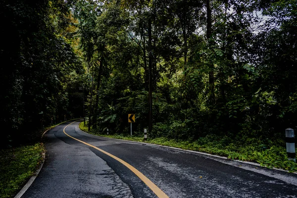 Krajina Silnice Procházející Klidnou Svěží Zelení Listí Tropické Deštných Pralesů — Stock fotografie