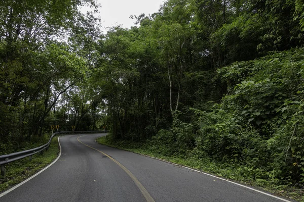 Countryside Road Passing Serene Lush Greenery Foliage Tropical Rain Forest — Stock Photo, Image