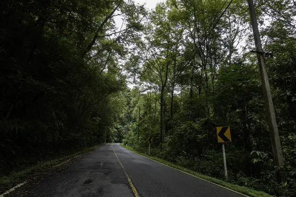 Krajina Silnice Procházející Klidnou Svěží Zelení Listí Tropické Deštných Pralesů — Stock fotografie