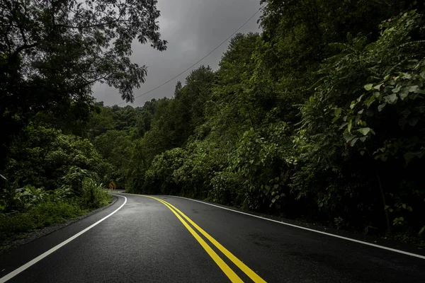 Campiña Carretera Que Pasa Través Vegetación Exuberante Serena Follaje Tropical — Foto de Stock