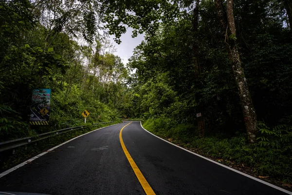 Campiña Carretera Que Pasa Través Vegetación Exuberante Serena Follaje Tropical — Foto de Stock