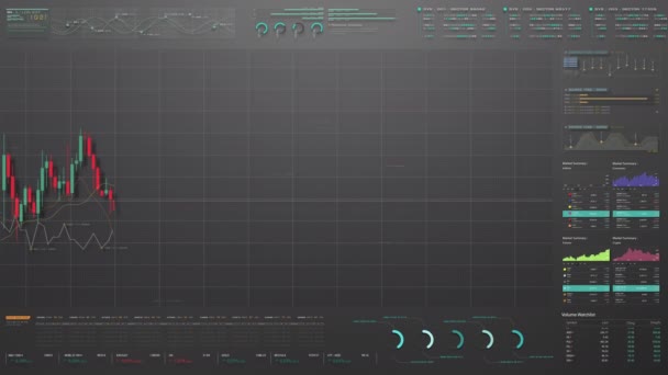 Interaktive Grafiken Animierte Diagramme Und Datengesteuerte Einblicke Auf Einem Monitordisplay — Stockvideo