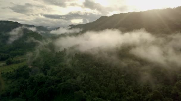 Breathtaking Aerial Scenery Lush Green Tropical Rainforest Mountain Majestic Doi — Stock Video