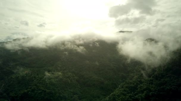 Ένα Μαγευτικό Εναέριο Τοπίο Του Καταπράσινου Τροπικού Δάσους Βουνό Μαγευτικό — Αρχείο Βίντεο