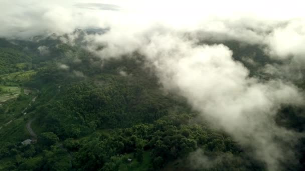 茂密的绿色热带雨林山中令人叹为观止的空中风景 宏伟的豆花山保护区国家公园位于泰国北部 上面点缀着雨云的冠冕 — 图库视频影像