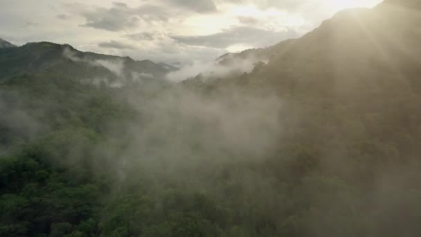 Lélegzetelállító Légi Táj Buja Zöld Trópusi Esőerdő Hegy Fenséges Doi — Stock videók