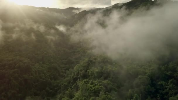 茂密的绿色热带雨林山中令人叹为观止的空中风景 宏伟的豆花山保护区国家公园位于泰国北部 上面点缀着雨云的冠冕 — 图库视频影像