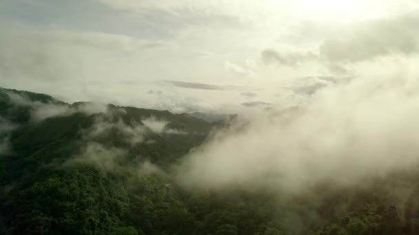 Zapierające Dech Piersiach Widoki Lotnicze Bujnej Zielonej Tropikalnej Góry Lasu — Wideo stockowe