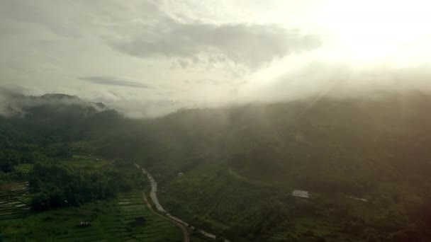 Bereketli Yeşil Tropikal Yağmur Ormanları Dağının Nefes Kesici Hava Manzarası — Stok video