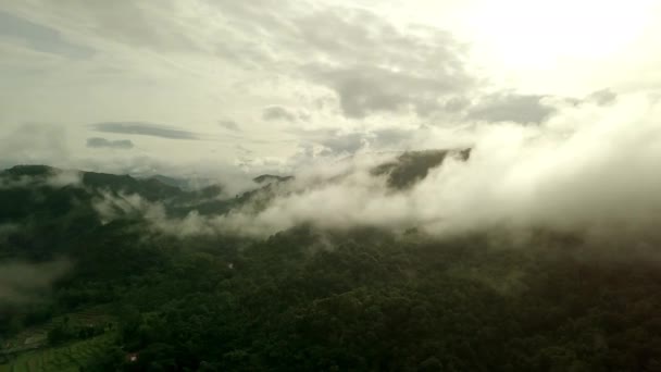 Dech Beroucí Vzdušná Scenérie Svěží Zelené Tropické Deštné Hory Majestátní — Stock video