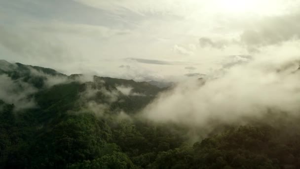 Breathtaking Aerial Scenery Lush Green Tropical Rainforest Mountain Majestic Doi — Stock Video
