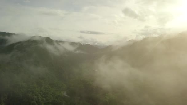 무성한 숨막히는 북부에 위치한 구름의 캐노피로 장엄한 — 비디오