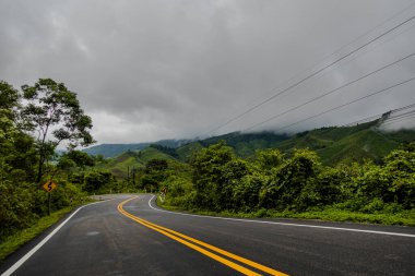 Doi Phuka Dağı 'ndaki sakin yemyeşil ve yeşillik yağmur ormanları dağ manzarasından geçen kırsal yol Tayland' ın kuzeyindeki ulusal parka ayrıldı.