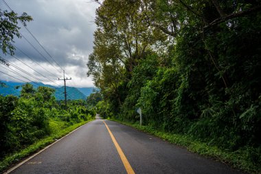 Doi Phuka Dağı 'ndaki sakin yemyeşil ve yeşillik yağmur ormanları dağ manzarasından geçen kırsal yol Tayland' ın kuzeyindeki ulusal parka ayrıldı.