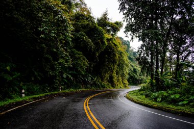Doi Phuka Dağı 'ndaki sakin yemyeşil ve yeşillik yağmur ormanları dağ manzarasından geçen kırsal yol Tayland' ın kuzeyindeki ulusal parka ayrıldı.