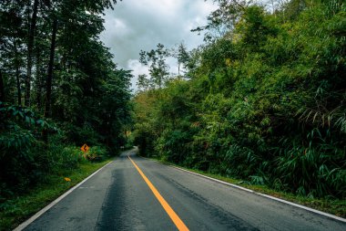 Doi Phuka Dağı 'ndaki sakin yemyeşil ve yeşillik yağmur ormanları dağ manzarasından geçen kırsal yol Tayland' ın kuzeyindeki ulusal parka ayrıldı.