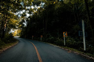 Doi Phuka Dağı 'ndaki sakin yemyeşil ve yeşillik yağmur ormanları dağ manzarasından geçen kırsal yol Tayland' ın kuzeyindeki ulusal parka ayrıldı.