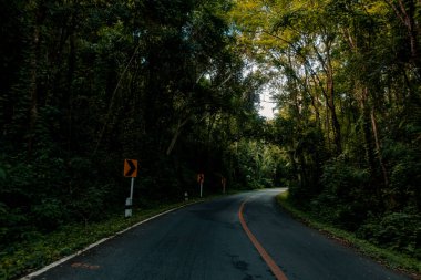Doi Phuka Dağı 'ndaki sakin yemyeşil ve yeşillik yağmur ormanları dağ manzarasından geçen kırsal yol Tayland' ın kuzeyindeki ulusal parka ayrıldı.