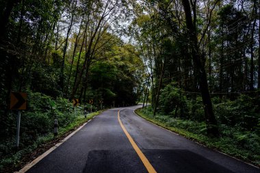 Doi Phuka Dağı 'ndaki sakin yemyeşil ve yeşillik yağmur ormanları dağ manzarasından geçen kırsal yol Tayland' ın kuzeyindeki ulusal parka ayrıldı.