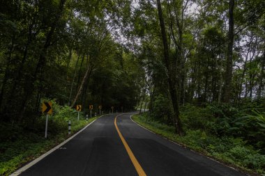 Doi Phuka Dağı 'ndaki sakin yemyeşil ve yeşillik yağmur ormanları dağ manzarasından geçen kırsal yol Tayland' ın kuzeyindeki ulusal parka ayrıldı.