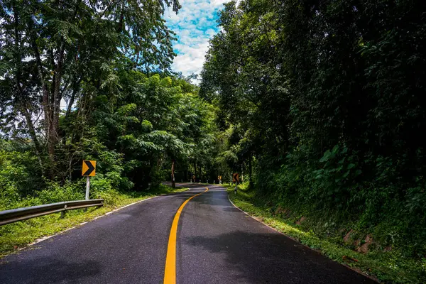 Campiña Carretera Que Pasa Través Vegetación Exuberante Serena Follaje Tropical —  Fotos de Stock