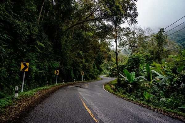 位于泰国北部Doi Phuka山国家公园的乡间小路 穿过宁静的郁郁葱葱的绿地和树叶繁茂的热带雨林山景 — 图库照片