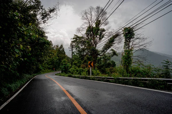 Doi Phuka Dağı Ndaki Sakin Yemyeşil Yeşillik Yağmur Ormanları Dağ — Stok fotoğraf