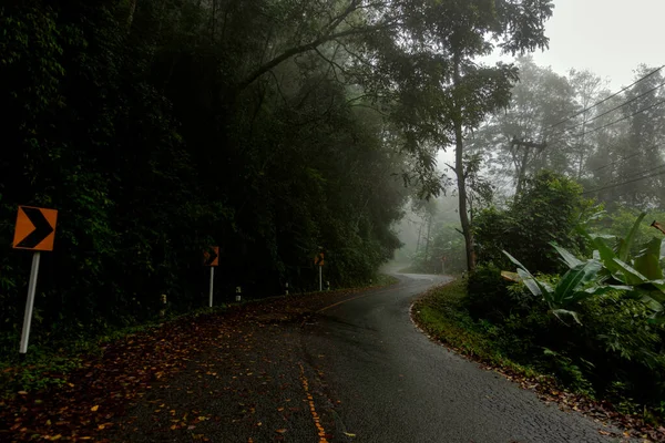 Campiña Carretera Que Pasa Través Vegetación Exuberante Serena Follaje Tropical —  Fotos de Stock