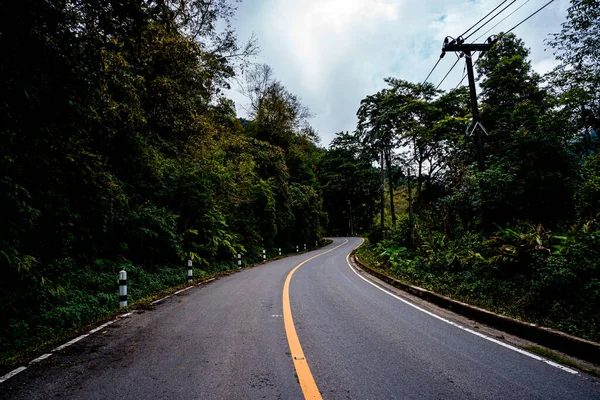位于泰国北部Doi Phuka山国家公园的乡间小路 穿过宁静的郁郁葱葱的绿地和树叶繁茂的热带雨林山景 — 图库照片
