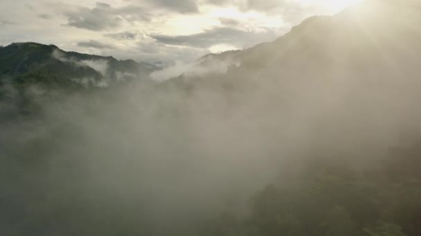 Impresionante Paisaje Aéreo Exuberante Selva Tropical Tropical Montaña Majestuoso Parque — Vídeos de Stock