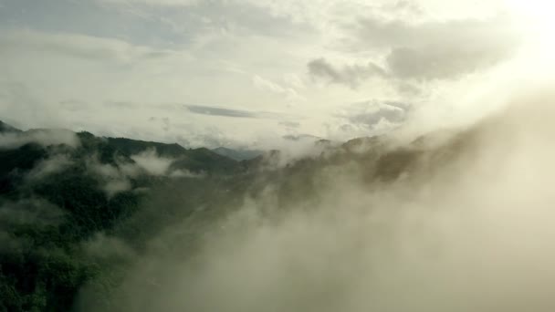 Захоплюючі Повітряні Пейзажі Пишних Зелених Тропічних Тропічних Лісів Гір Величний — стокове відео