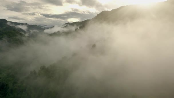 Een Adembenemend Luchtlandschap Van Weelderige Groene Tropische Regenwoudberg Het Majestueuze — Stockvideo