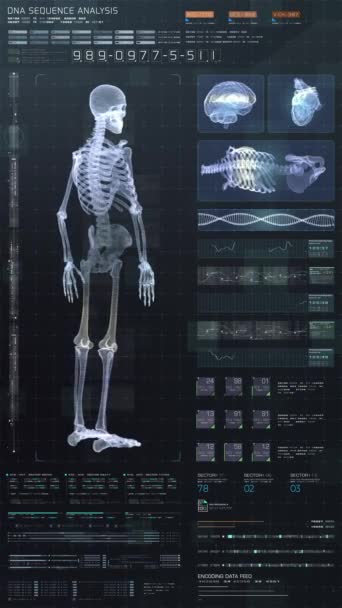 Футуристическая Голографическая Рентгеновская Томография Сканирует Скелет Пациента Имитационного Медицинского Обследования — стоковое видео