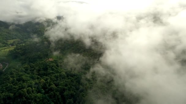 Breathtaking Aerial Scenery Lush Green Troinforest Mountain Величественный Национальный Парк — стоковое видео