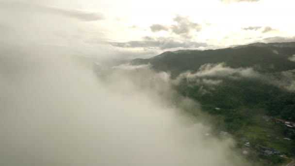 Peisaj Aerian Uluitor Munte Tropical Verde Luxuriant Maiestuoasa Parcul Național — Videoclip de stoc