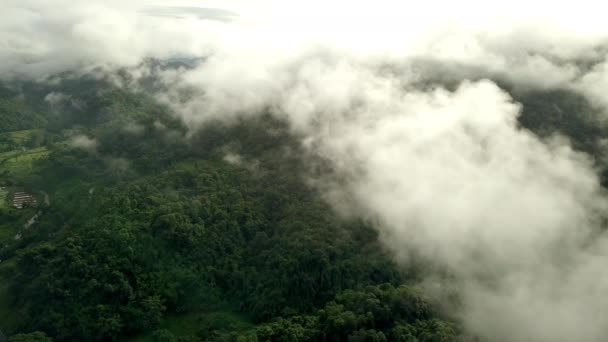 Zapierające Dech Piersiach Widoki Lotnicze Bujnej Zielonej Tropikalnej Góry Lasu — Wideo stockowe
