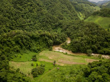 Doi Phuka Dağı 'ndaki yağmur mevsiminde yemyeşil yağmur bulutu içindeki bir köyün havadan görünüşü kuzey Tayland' daki ulusal parkı kaplamıştır.