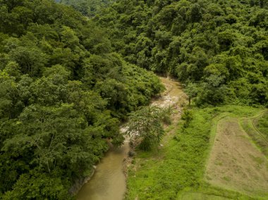 Doi Phuka Dağı 'ndaki yağmur mevsiminde yemyeşil yağmur bulutu içindeki bir köyün havadan görünüşü kuzey Tayland' daki ulusal parkı kaplamıştır.