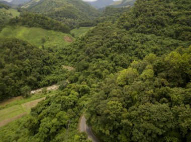 Doi Phuka Dağı 'ndaki yağmur mevsiminde yemyeşil yağmur bulutu içindeki bir köyün havadan görünüşü kuzey Tayland' daki ulusal parkı kaplamıştır.