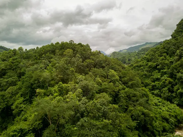 Вид Воздуха Деревню Пышном Зеленом Дождевом Облаке Покрывающем Тропические Леса — стоковое фото