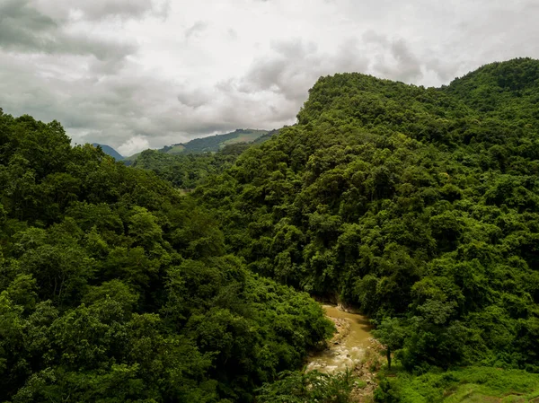 Вид Воздуха Деревню Пышном Зеленом Дождевом Облаке Покрывающем Тропические Леса — стоковое фото
