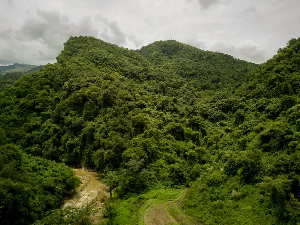 緑豊かな雨雲の村の空中ビューは 雨季のドイ プカマウンテン予約国立公園北部の熱帯雨林の山をカバーしています — ストック写真