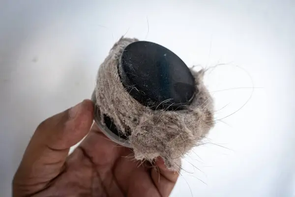 Household Vacuum Cleaner Filter Clogging Dust Mite Hair Animal Fur — Stock Photo, Image