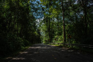 Nan Eyaleti 'ndeki Doi Phuka Ulusal Parkı' nda şafak vakti masmavi gökyüzünün altında yemyeşil ormanlarla çevrili sakin bir dağ manzarasının içinden kırsal bir yol esiyor.