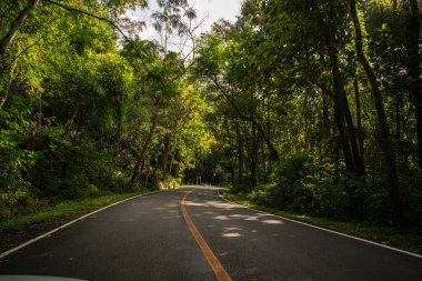 Nan Eyaleti 'ndeki Doi Phuka Ulusal Parkı' nda şafak vakti masmavi gökyüzünün altında yemyeşil ormanlarla çevrili sakin bir dağ manzarasının içinden kırsal bir yol esiyor.