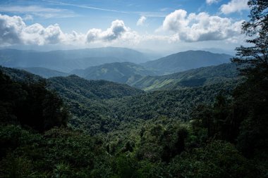  Berrak dağ manzarası, yemyeşil ormanlarla çevrili şafak vakti Doi Phuka Ulusal Parkı 'nda, Tayland' ın Nan Eyaleti 'nde.