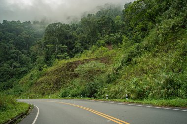 Nan Eyaleti 'ndeki Doi Phuka Ulusal Parkı' nda şafak vakti masmavi gökyüzünün altında yemyeşil ormanlarla çevrili sakin bir dağ manzarasının içinden kırsal bir yol esiyor.