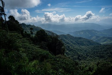  Berrak dağ manzarası, yemyeşil ormanlarla çevrili şafak vakti Doi Phuka Ulusal Parkı 'nda, Tayland' ın Nan Eyaleti 'nde.