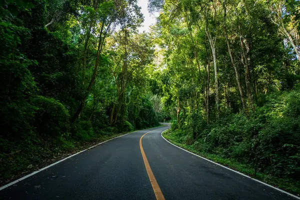 stock image A rural road winds through a serene mountain vista, bordered by lush green forest under a blue sky at dawn in Doi Phuka National Park, Nan Province, Thailand